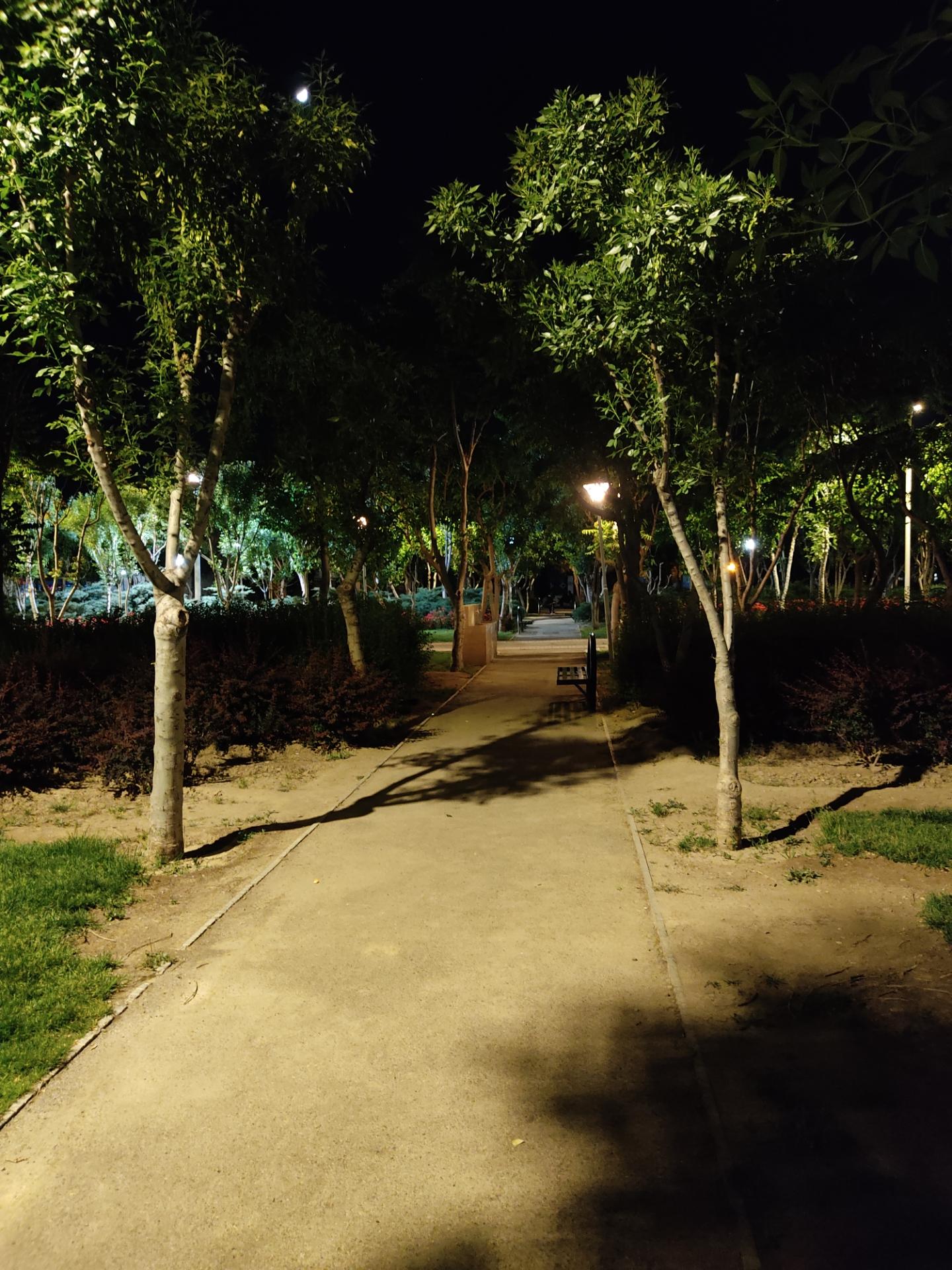 عکس بوستان ارشاد (پارک استقلال)