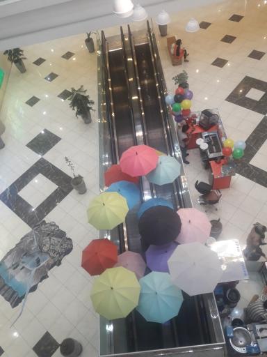 عکس معین مال