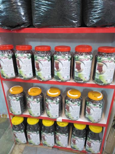 عکس پایتخت چای لاهیجان 