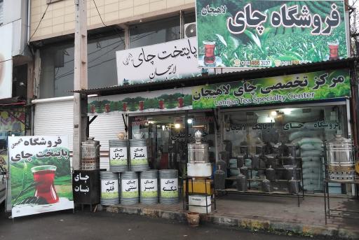 عکس پایتخت چای لاهیجان 