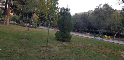 عکس بوستان نسترن