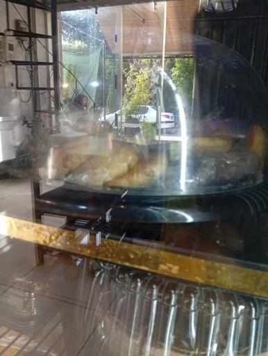 عکس کافه بستنی ویانا 