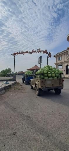 عکس میدان بار وماهی استوار پور