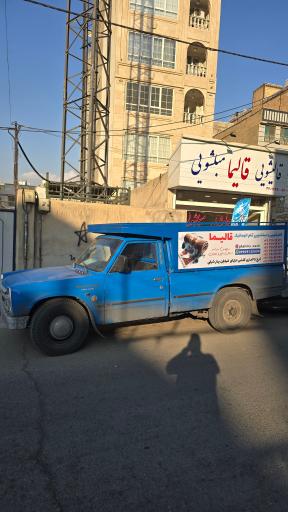 عکس دفتر قالیشویی قالیما