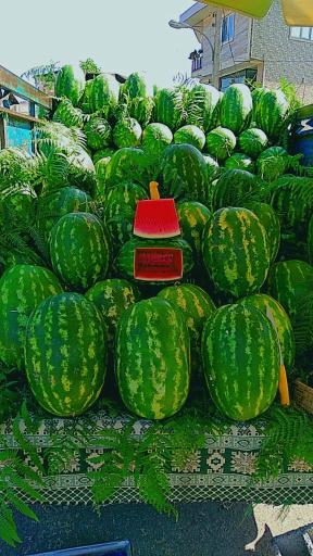 عکس میدان بار وماهی استوار پور