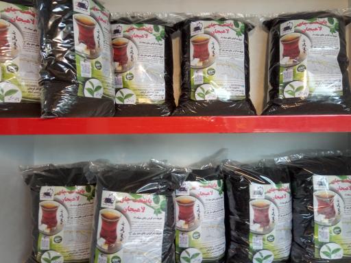 عکس پایتخت چای لاهیجان 