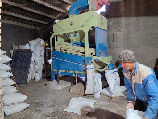 عکس کارگاه بوجاری عزیز خانی 