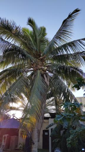 عکس اقامتگاه و کافی شاپ باغ طاها 