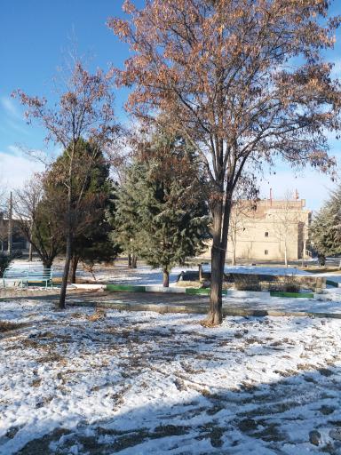 عکس پارک ائلر باغی