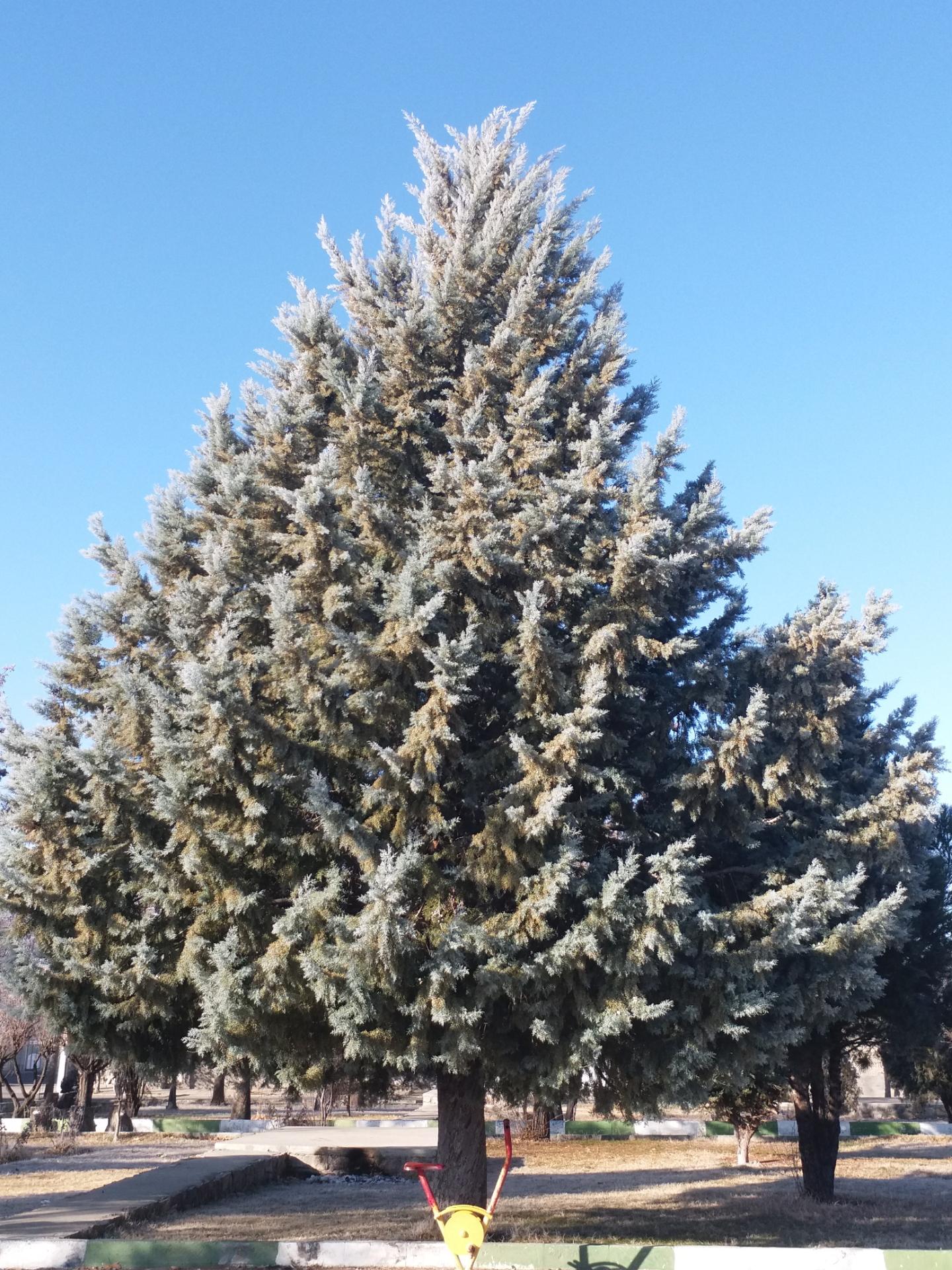 عکس پارک ائلر باغی