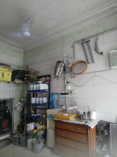 عکس رادیاتورسازی و اگزوز سازی اکبر