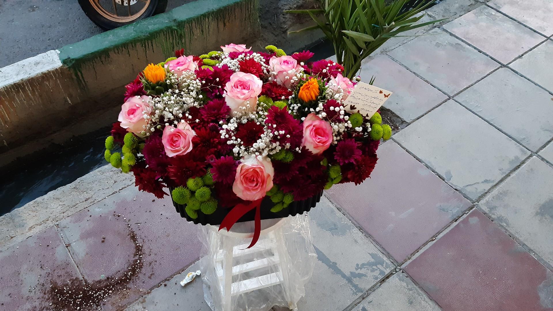 عکس گلکده (طبیعی،مصنوعی)