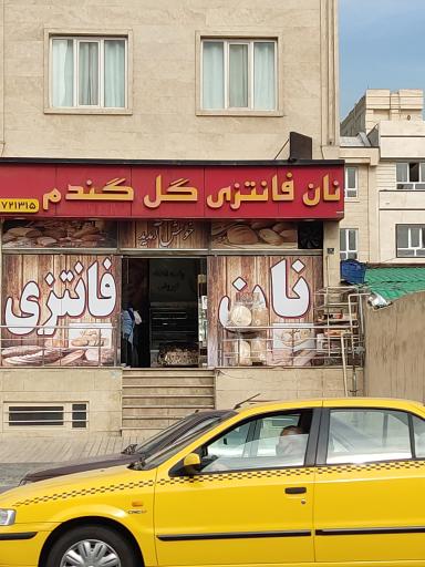 عکس نان فانتزی گل گندم