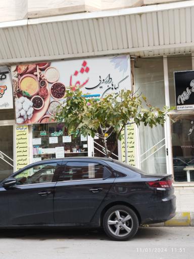 گیاهان دارویی شفا