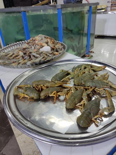 عکس ماهی میلان