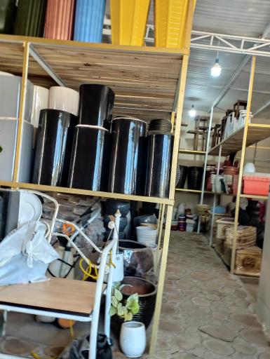 عکس گل وگیاه بیانی