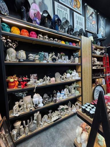 عکس گالری مارال