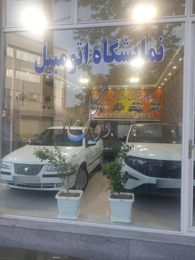 عکس نمایشگاه اتومبیل دوگل dogol