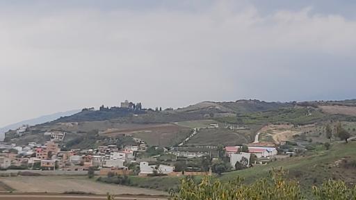 عکس کاخ موزه صفی آباد