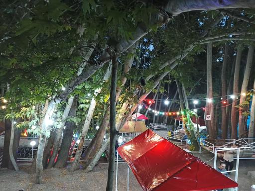 عکس کافه باغ ایران