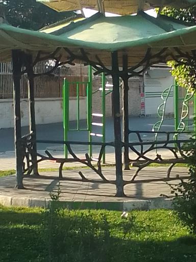 عکس پارک ذاکر