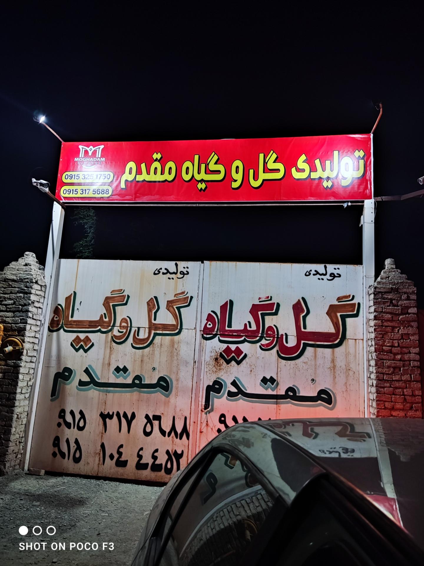 عکس تولید گل و گیاه مقدم
