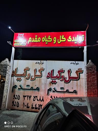 عکس تولید گل و گیاه مقدم