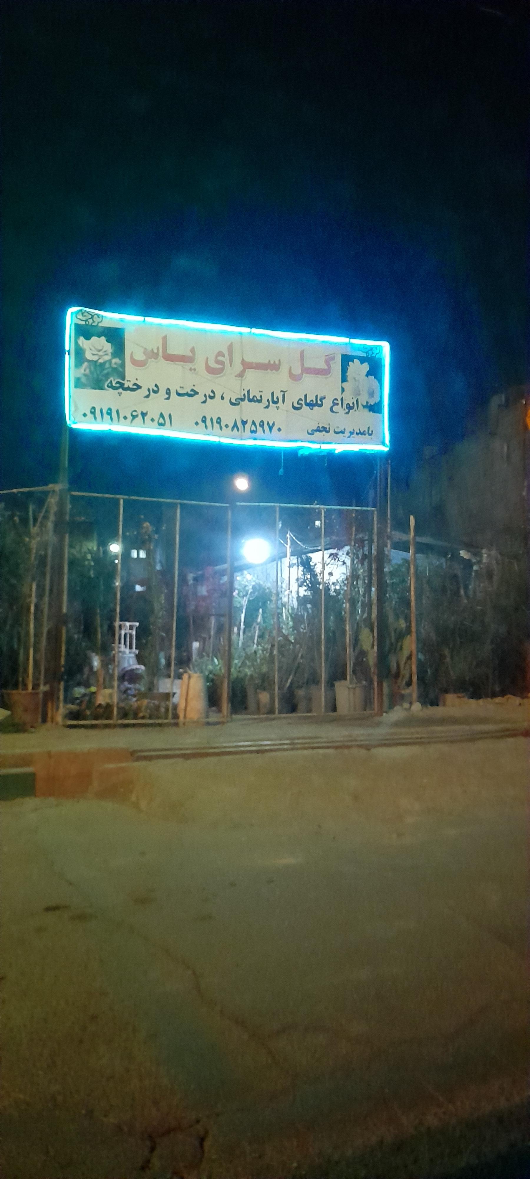 عکس گل سرای یاس