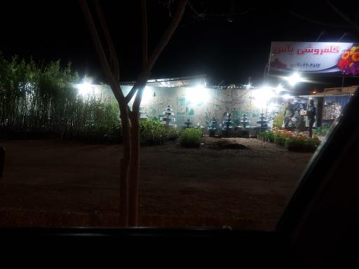 عکس گلفروشی یاس