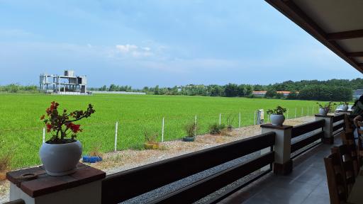 عکس رستوران محمد قجر