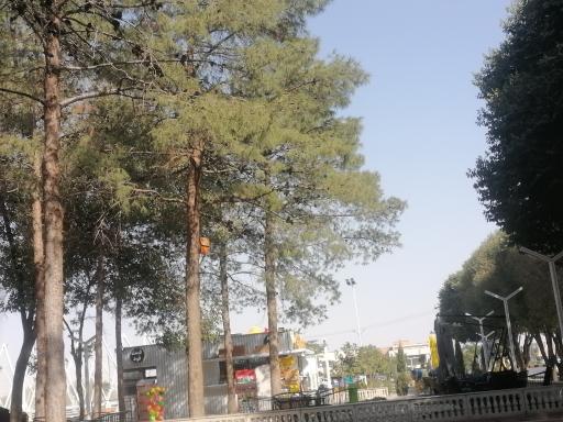 عکس جمعه بازار