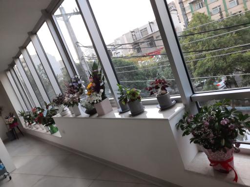 عکس دکتر علی کاظم زاده