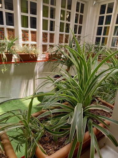 عکس دانشگاه علمی کاربردی واحد 35