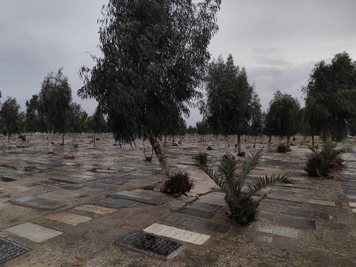عکس باغ رضوان