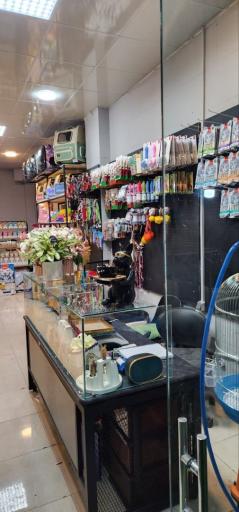 عکس پت شاپ متیو (شعبه پاسارگاد)
