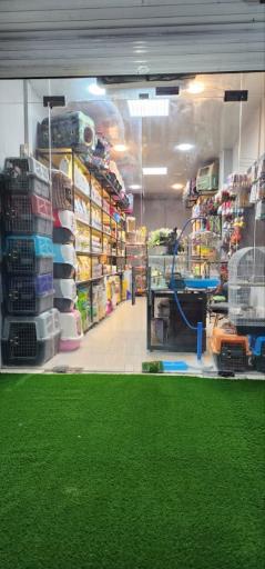 عکس پت شاپ متیو (شعبه پاسارگاد)