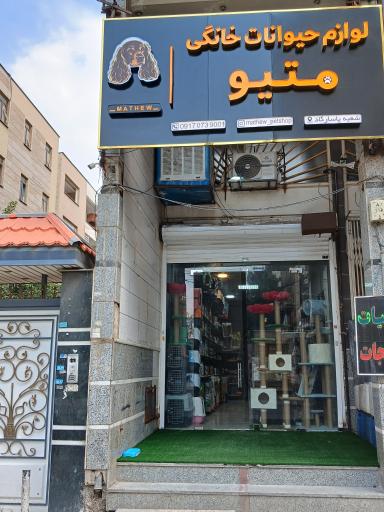 عکس پت شاپ متیو (شعبه پاسارگاد)
