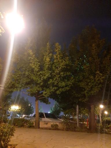 عکس بوستان باغستان