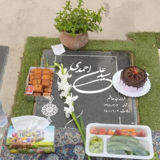 عکس مزار سیدعلی احمدی