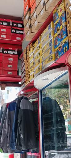 عکس ایمنی حامی