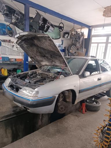 عکس  استوک زانتیا 