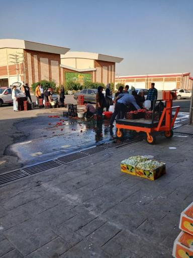 عکس حق العمل کاری حامد اسدیان ایلار