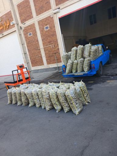 عکس حق العمل کاری حامد اسدیان ایلار