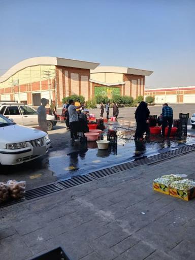 عکس حق العمل کاری حامد اسدیان ایلار