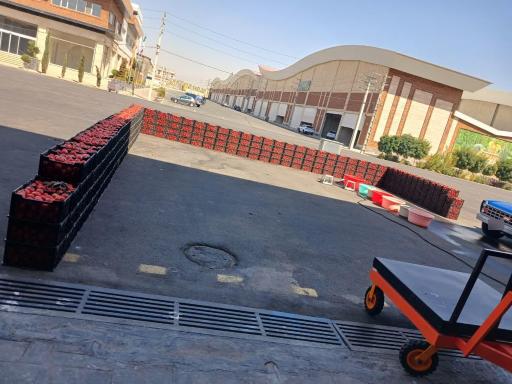 عکس حق العمل کاری حامد اسدیان ایلار