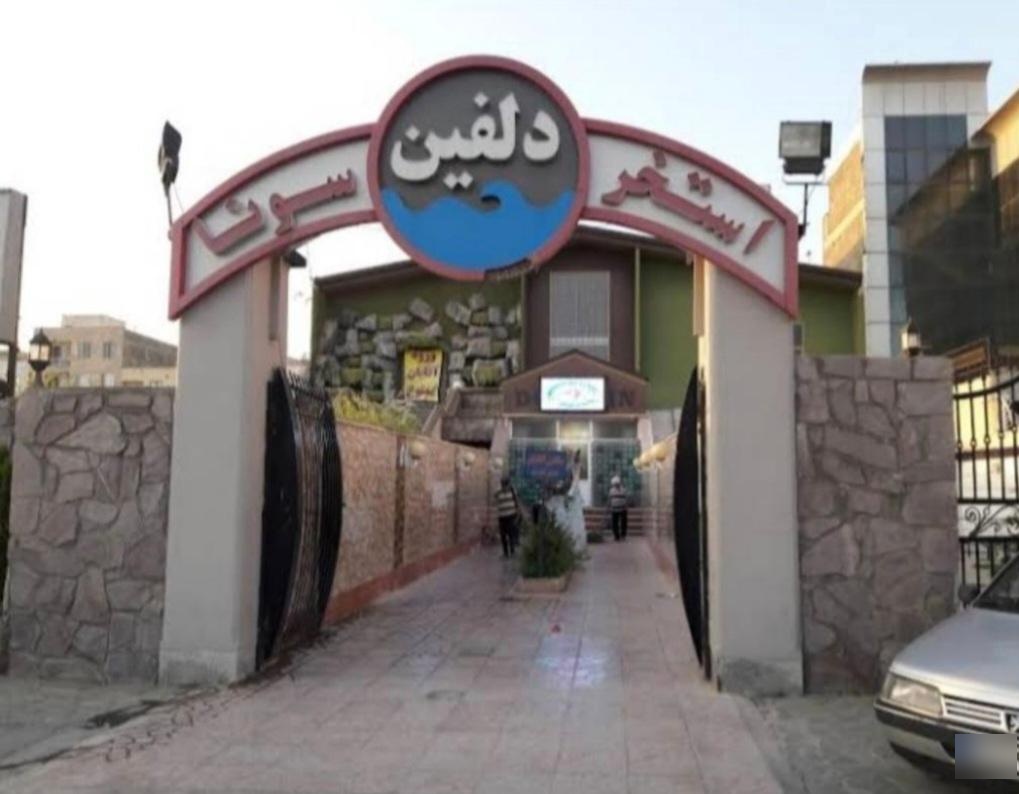 عکس استخر دلفین کرج
