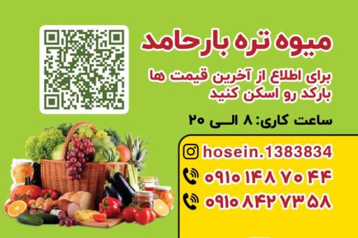 عکس حق العمل کاری حامد اسدیان ایلار