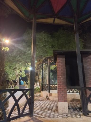 عکس بوستان جنگلی کاج