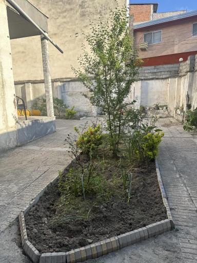 عکس آموزشگاه زبان گلسا