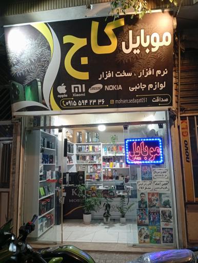 عکس موبایل کاج سبز